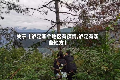 关于【泸定哪个地区有疫情,泸定有哪些地方】-第3张图片