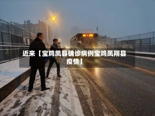 近来【宝鸡凤县确诊病例宝鸡凤翔县疫情】-第1张图片