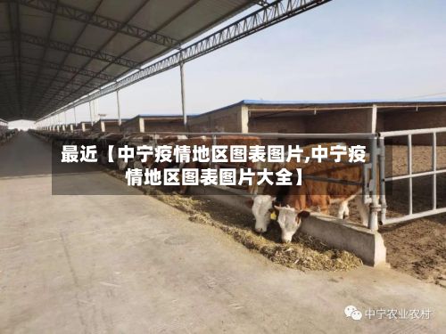 最近【中宁疫情地区图表图片,中宁疫情地区图表图片大全】-第2张图片