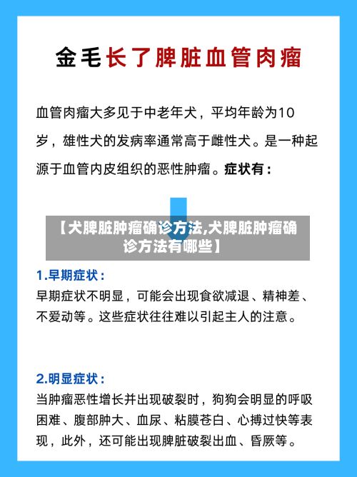 【犬脾脏肿瘤确诊方法,犬脾脏肿瘤确诊方法有哪些】-第3张图片