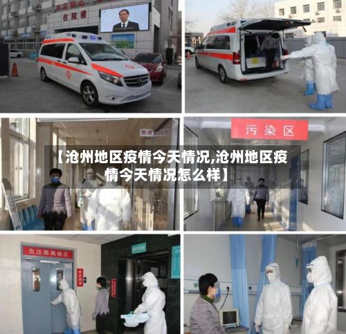 【沧州地区疫情今天情况,沧州地区疫情今天情况怎么样】-第3张图片