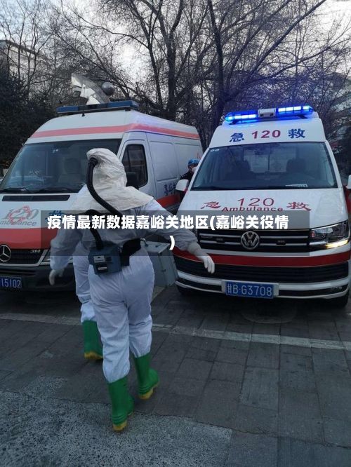 疫情最新数据嘉峪关地区(嘉峪关役情)-第3张图片