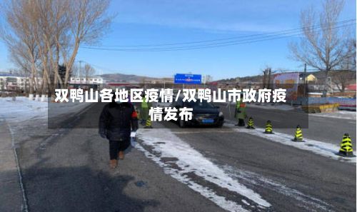 双鸭山各地区疫情/双鸭山市政府疫情发布-第1张图片