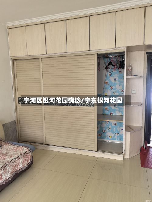 宁河区银河花园确诊/宁东银河花园-第1张图片