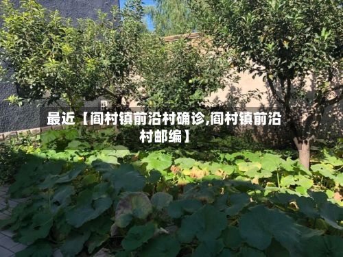 最近【阎村镇前沿村确诊,阎村镇前沿村邮编】-第3张图片