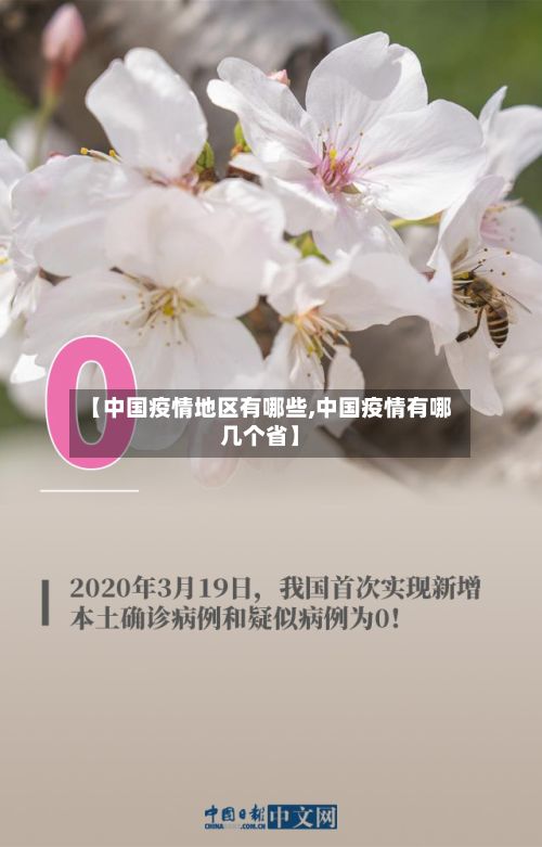 【中国疫情地区有哪些,中国疫情有哪几个省】-第1张图片