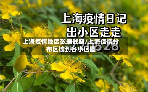 上海疫情地区数据截图/上海疫情分布区域到各小区图-第3张图片