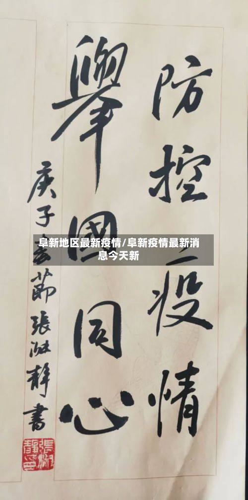 阜新地区最新疫情/阜新疫情最新消息今天新-第2张图片