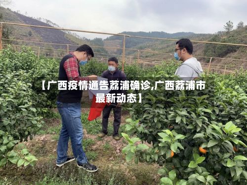 【广西疫情通告荔浦确诊,广西荔浦市最新动态】