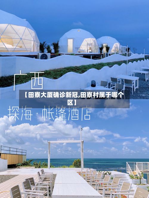 【田寮大厦确诊新冠,田寮村属于哪个区】-第2张图片