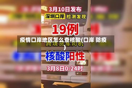 疫情口岸地区怎么查核酸(口岸 防疫)-第3张图片