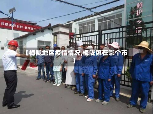 【梅陇地区疫情情况,梅陇镇在哪个市】-第1张图片