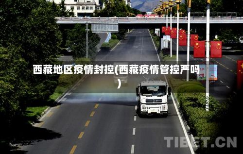 西藏地区疫情封控(西藏疫情管控严吗)-第2张图片