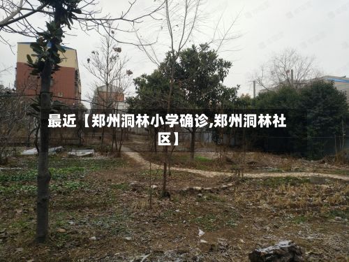 最近【郑州洞林小学确诊,郑州洞林社区】