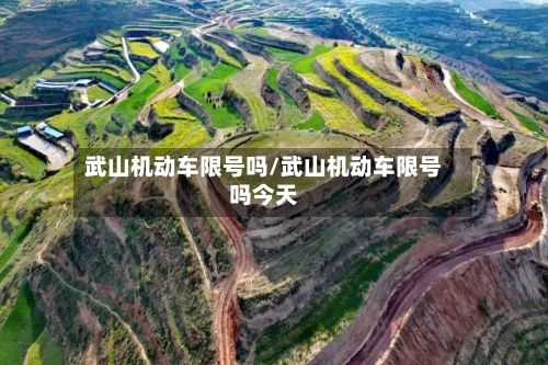 武山机动车限号吗/武山机动车限号吗今天