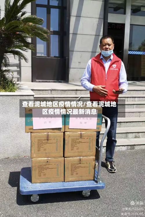 查看泥城地区疫情情况/查看泥城地区疫情情况最新消息