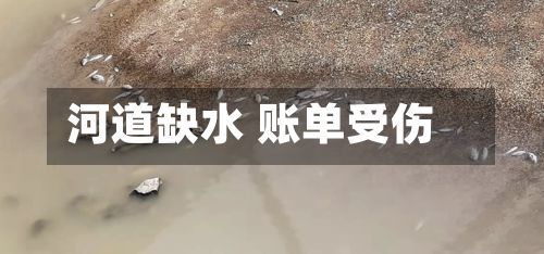河道缺水 账单受伤