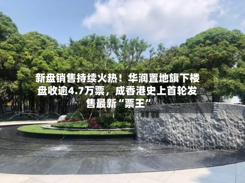 新盘销售持续火热！华润置地旗下楼盘收逾4.7万票，成香港史上首轮发售最新“票王	”-第3张图片