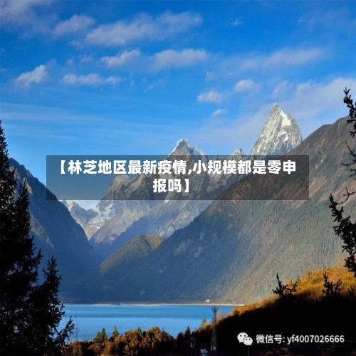 【林芝地区最新疫情,小规模都是零申报吗】