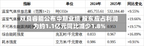 双良睿能公布中期业绩 股东应占利润为约1.1亿元同比减少1.8%-第1张图片