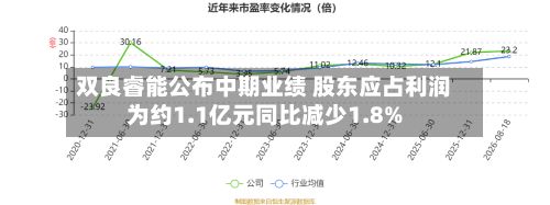 双良睿能公布中期业绩 股东应占利润为约1.1亿元同比减少1.8%-第2张图片