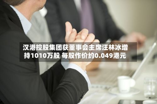 汉港控股集团获董事会主席汪林冰增持1010万股 每股作价约0.049港元-第1张图片