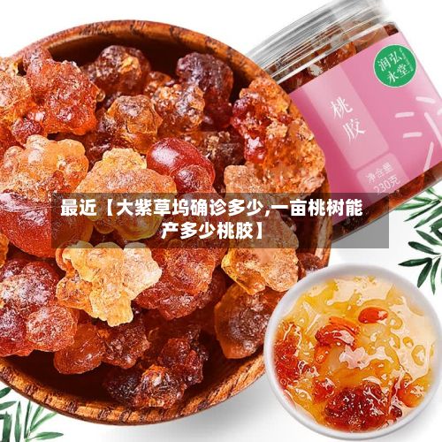 最近【大紫草坞确诊多少,一亩桃树能产多少桃胶】