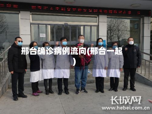 邢台确诊病例流向(邢台一起)-第2张图片