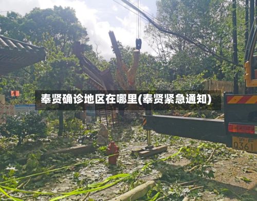 奉贤确诊地区在哪里(奉贤紧急通知)