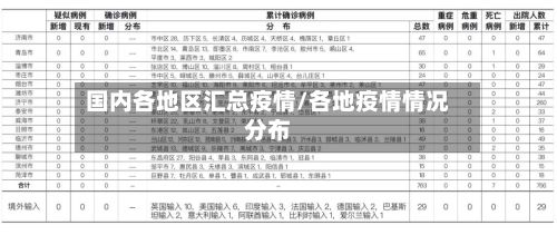 国内各地区汇总疫情/各地疫情情况分布-第2张图片