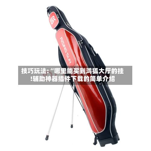 技巧玩法:“哪里能买到鸿狐大厅的挂!辅助神器插件下载的简单介绍-第2张图片