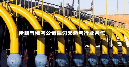 伊朗与俄气公司探讨天然气行业合作
