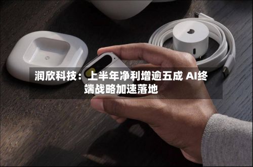 润欣科技:上半年净利增逾五成 AI终端战略加速落地-第2张图片