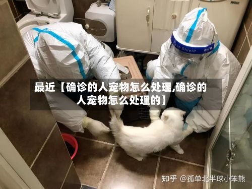 最近【确诊的人宠物怎么处理,确诊的人宠物怎么处理的】