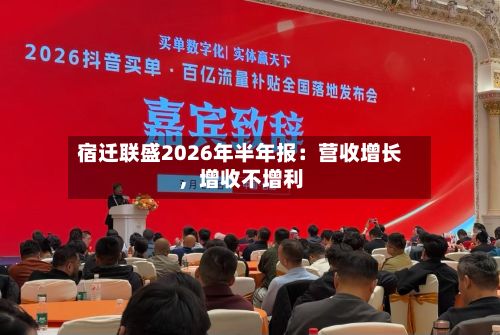 宿迁联盛2026年半年报：营收增长，增收不增利
