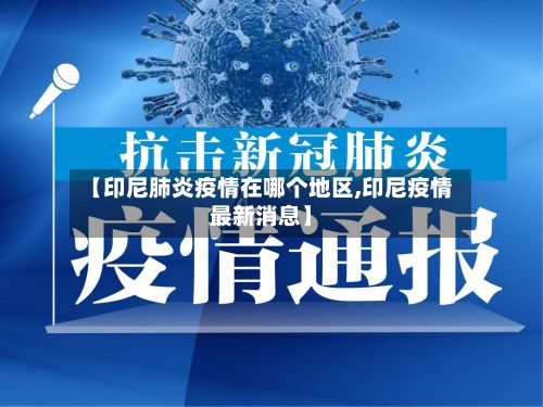 【印尼肺炎疫情在哪个地区,印尼疫情最新消息】-第3张图片