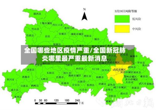 全国哪些地区疫情严重/全国新冠肺炎哪里最严重最新消息-第3张图片