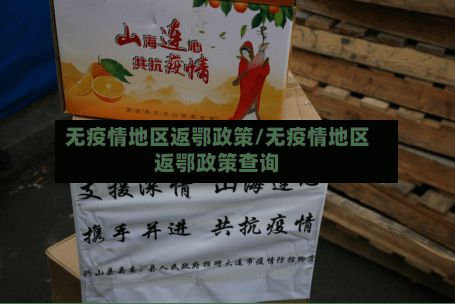 无疫情地区返鄂政策/无疫情地区返鄂政策查询-第3张图片