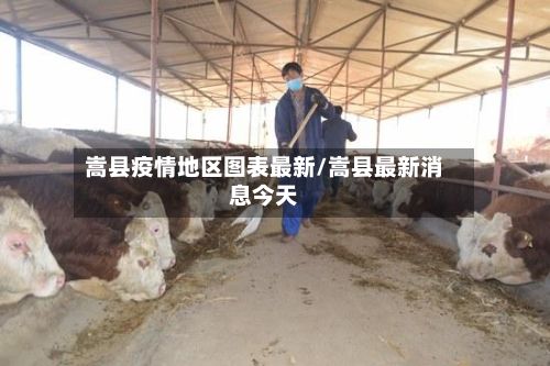 嵩县疫情地区图表最新/嵩县最新消息今天-第3张图片