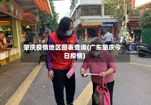 肇庆疫情地区图表查询(广东肇庆今日疫情)-第1张图片