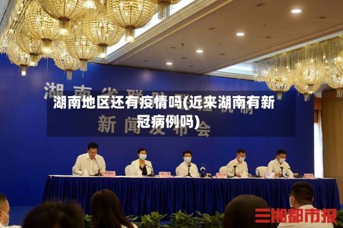 湖南地区还有疫情吗(近来湖南有新冠病例吗)-第2张图片