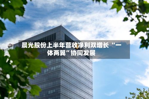 晨光股份上半年营收净利双增长 “一体两翼	”协同发展-第2张图片