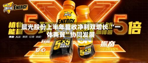 晨光股份上半年营收净利双增长 “一体两翼”协同发展