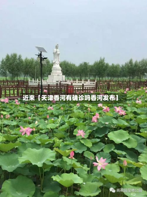 近来【天津香河有确诊吗香河发布】-第1张图片