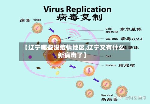 【辽宁哪些没疫情地区,辽宁又有什么新病毒了】