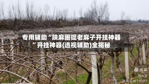 专用辅助“陕麻圈捉老麻子开挂神器	”开挂神器{透视辅助}全揭秘-第3张图片