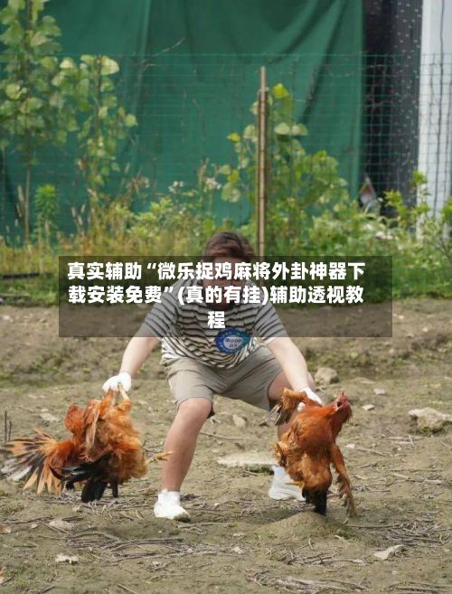 真实辅助“微乐捉鸡麻将外卦神器下载安装免费”(真的有挂)辅助透视教程-第2张图片