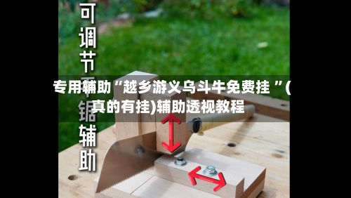 专用辅助“越乡游义乌斗牛免费挂 ”(真的有挂)辅助透视教程-第3张图片