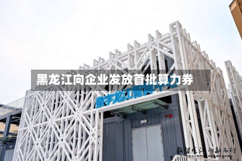 黑龙江向企业发放首批算力券-第1张图片