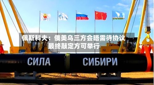 佩斯科夫：俄美乌三方会晤需待协议最终敲定方可举行-第3张图片